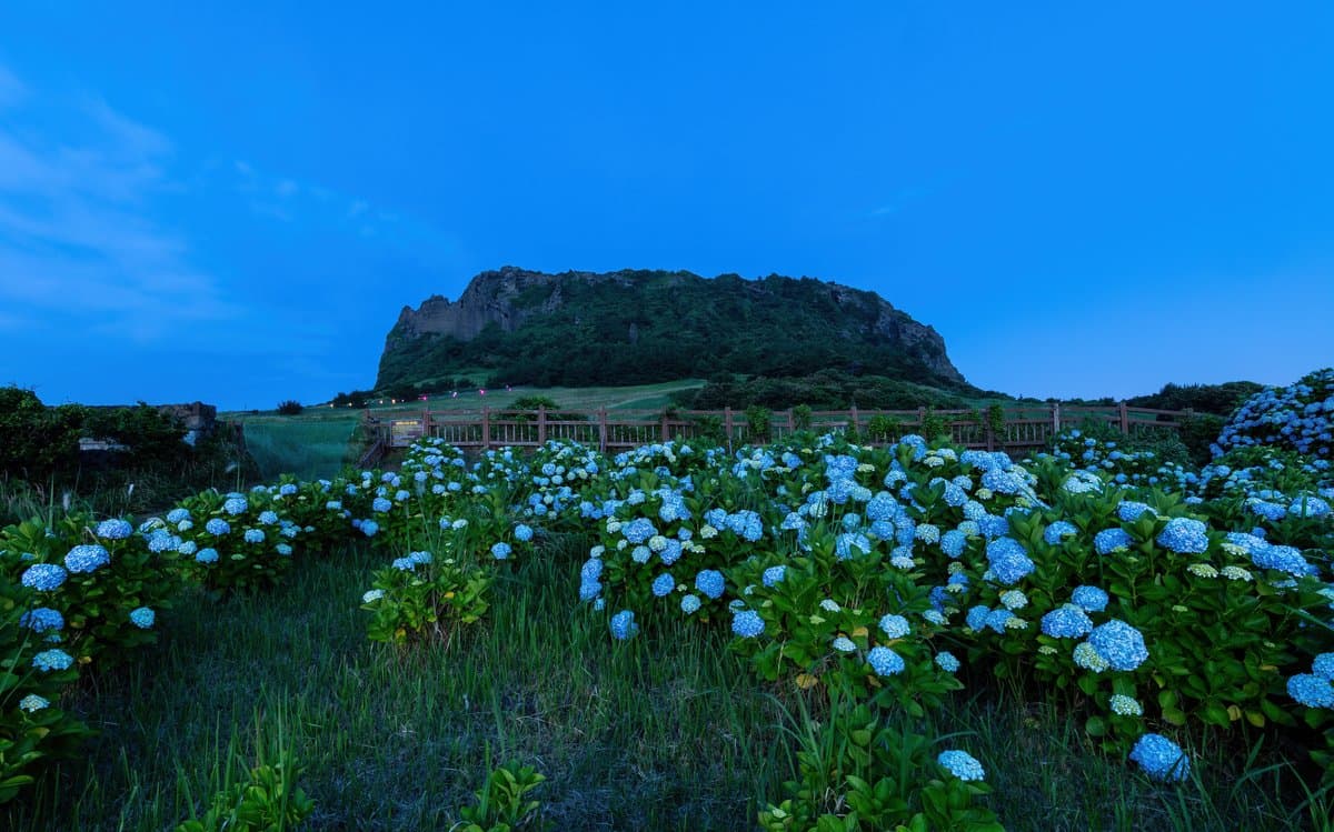 law 35 sunrise peak jeju.jpg